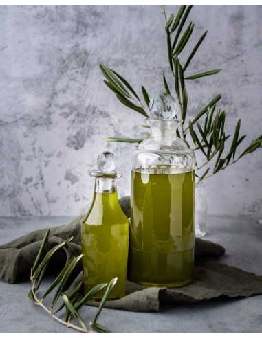 Arbequina Oil - 2L - BPA Free  |...