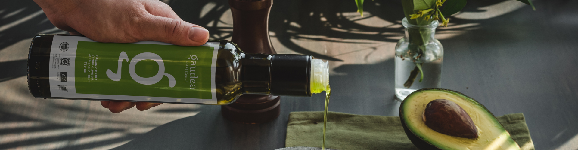 Recetas con aceite de oliva virgen extra - Gaudea